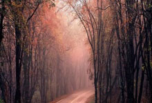 沙特VS澳大利亚！国青2对手会师U20亚洲杯决赛.